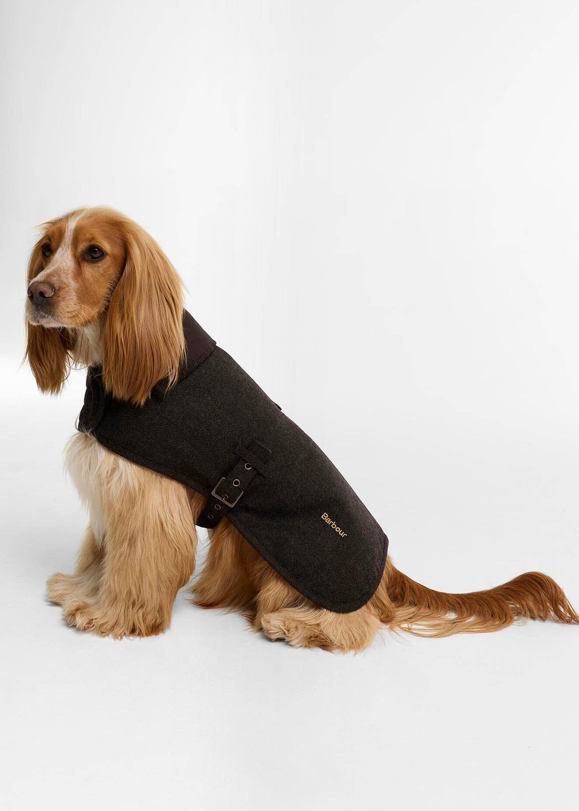 Barlow Tweed Dog Coat Brown