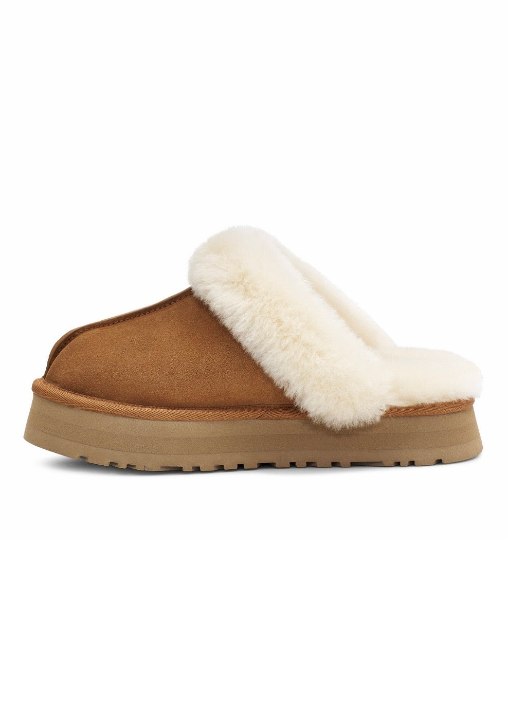 W Disquette Chestnut