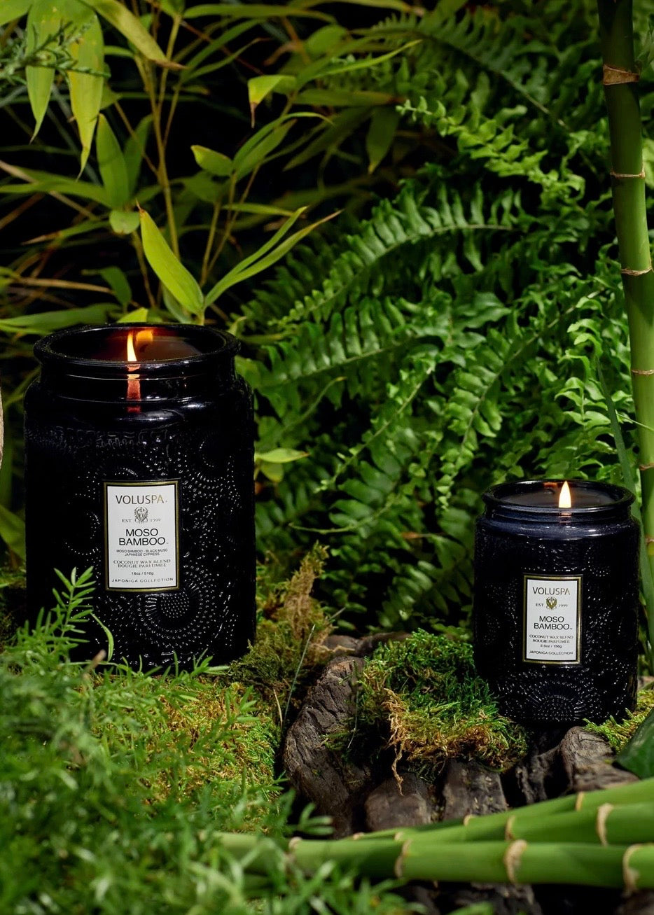 Small Jar Moso Bamboo