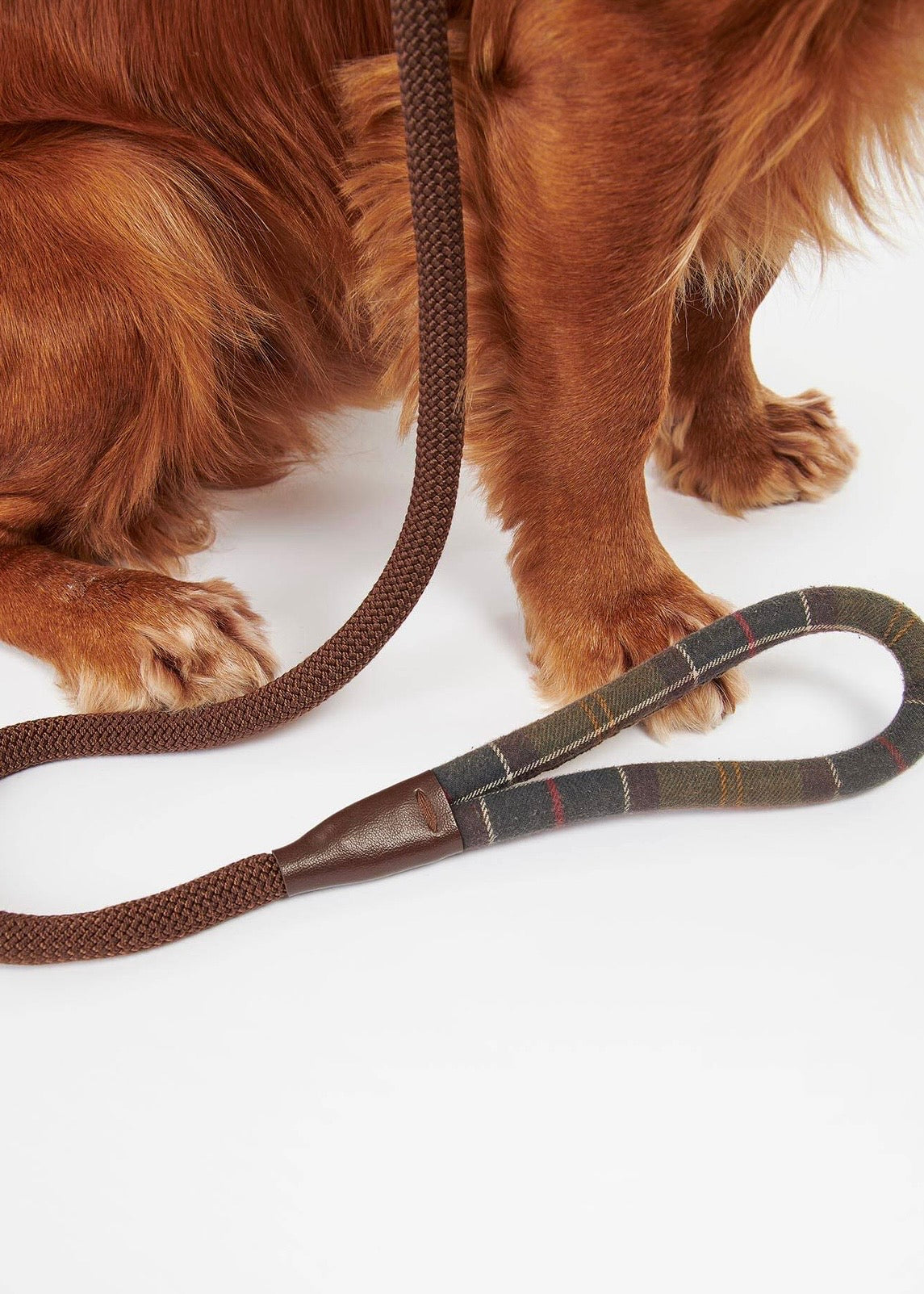 Tartan Trimmed Slip Dog Lead