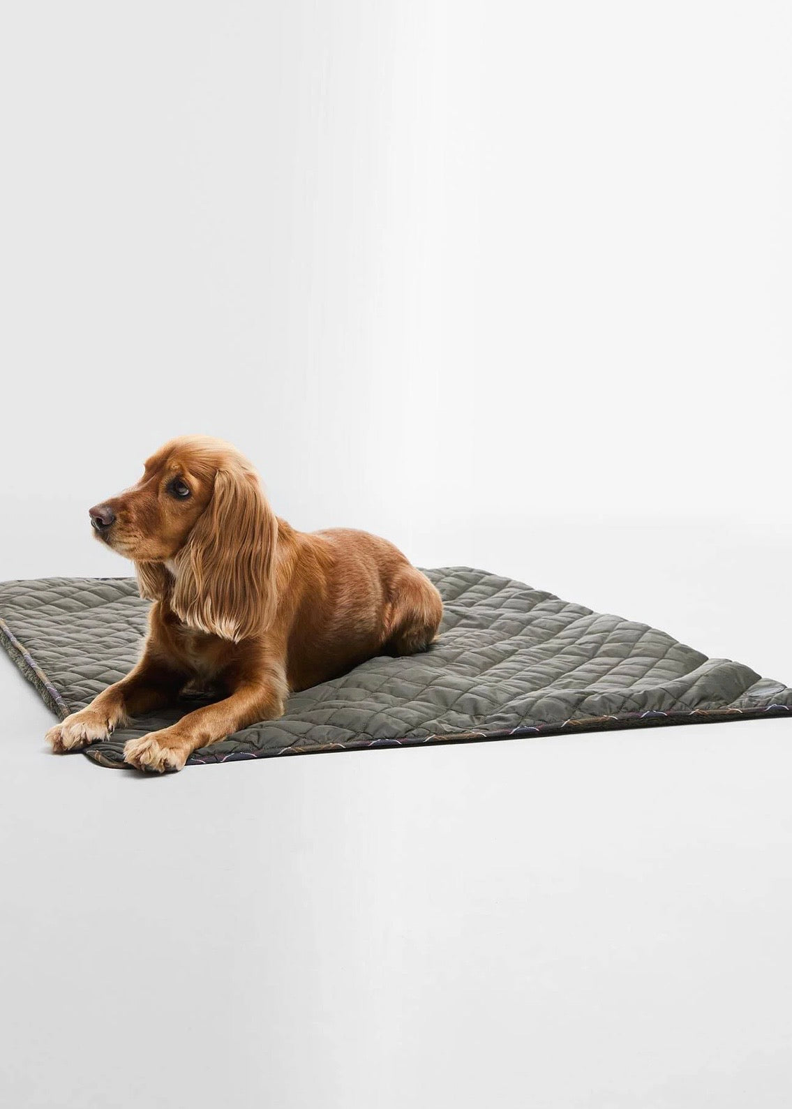 Dog Quilt Fleece Blanket
