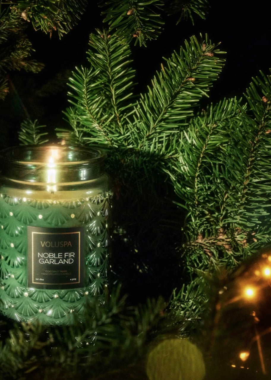 Large Jar Noble Fir Garland