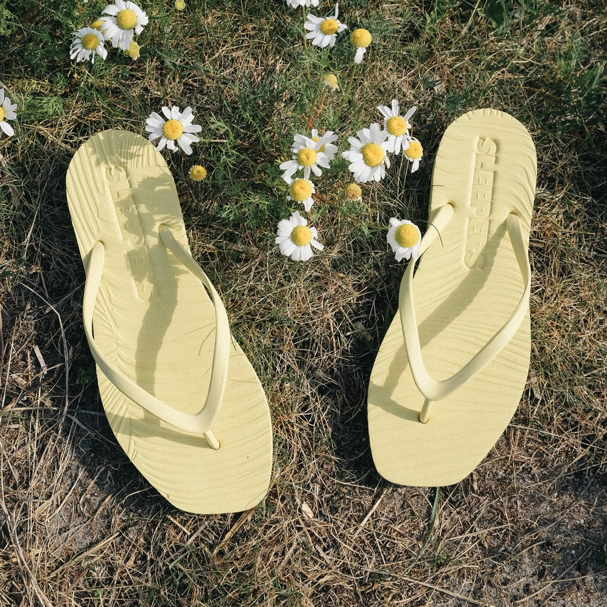 Sleepers Tapered flip flop - Mellow Yellow