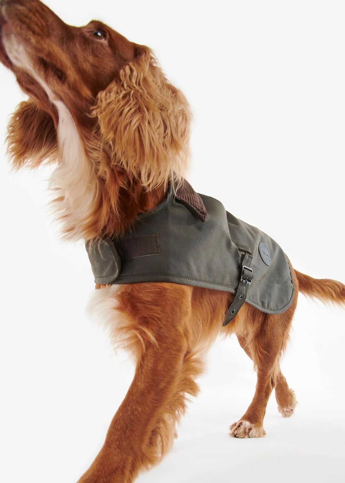 Wax Dog Coat Olive