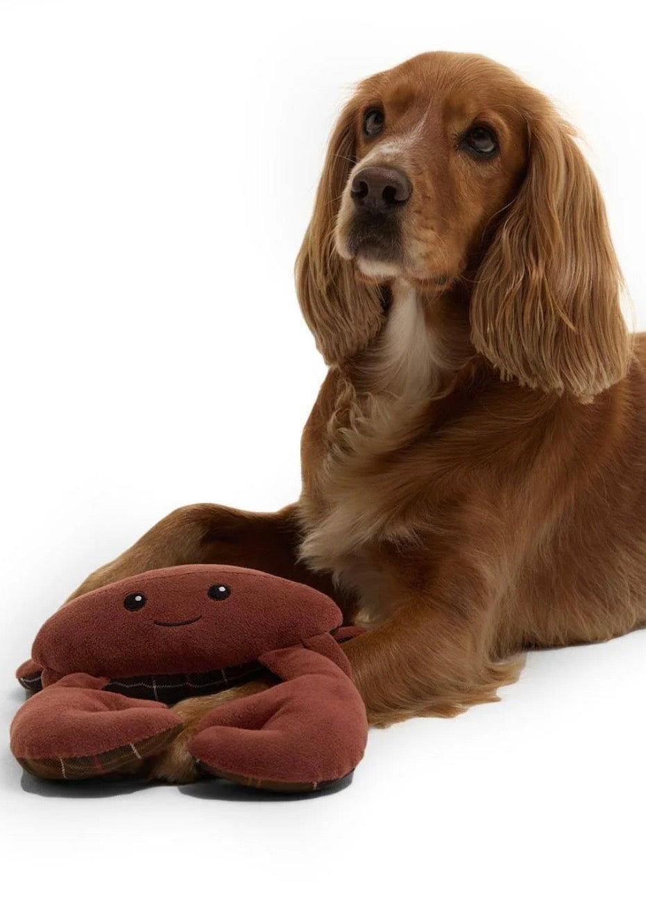 Crab Dog Toy