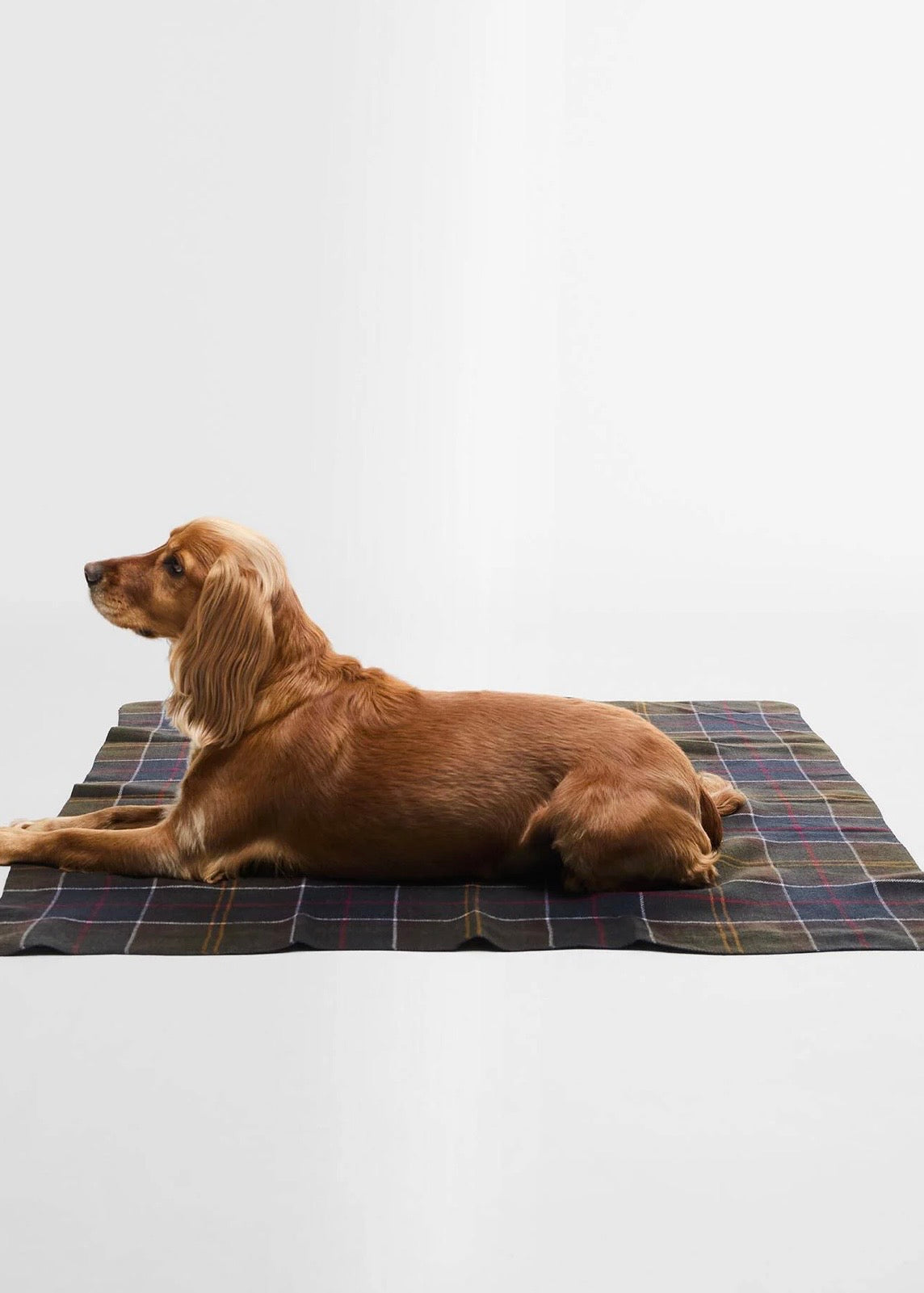 Dog Tartan Blanket