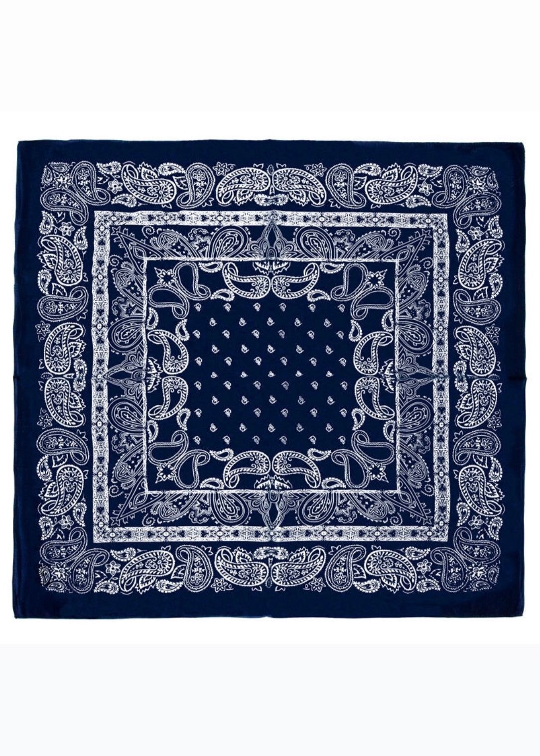 Santi Silk scarf