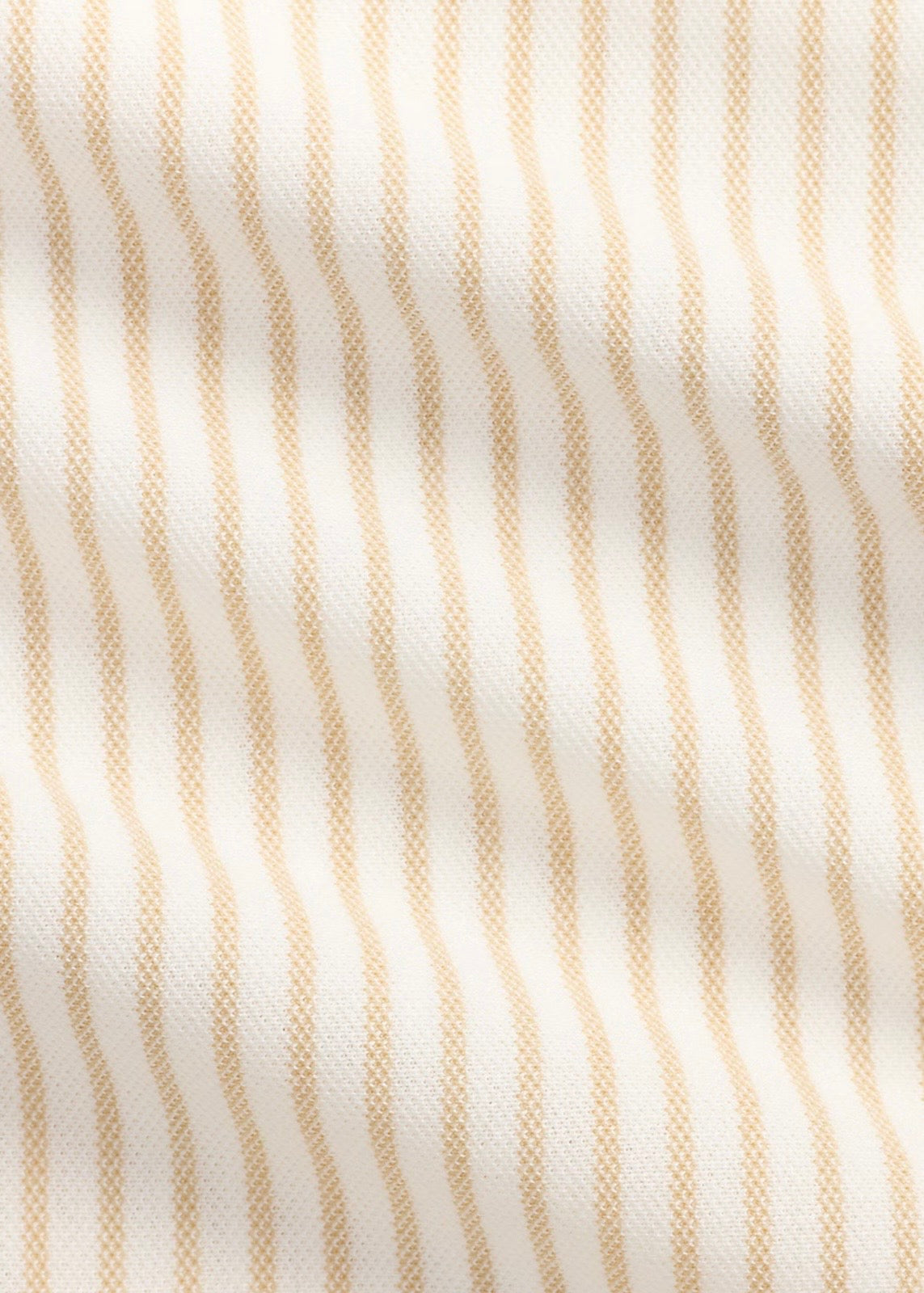 Striped Knit Oxford Shirt Coastal Beige