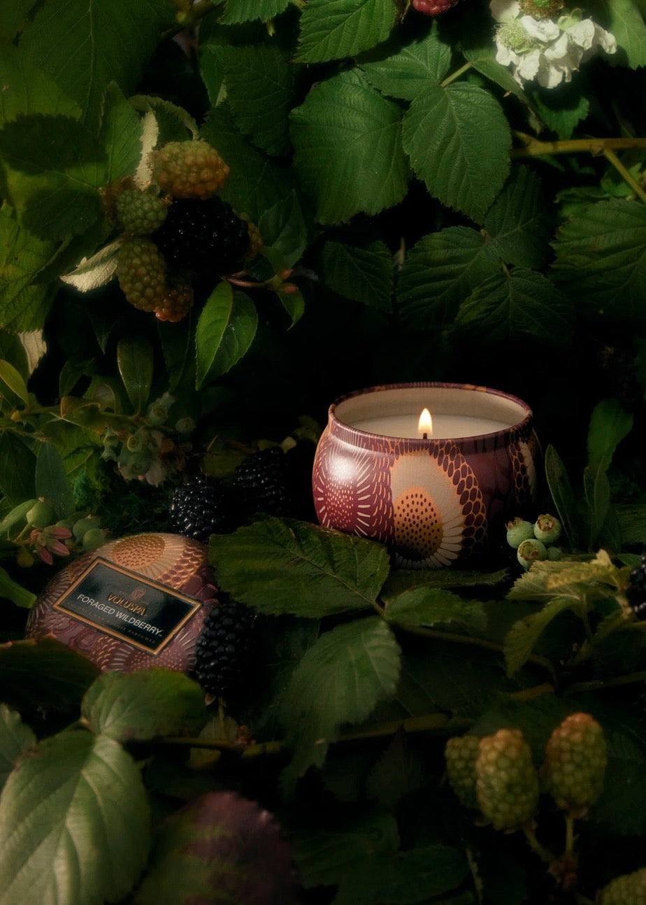 Mini Tin Foraged Wildberry