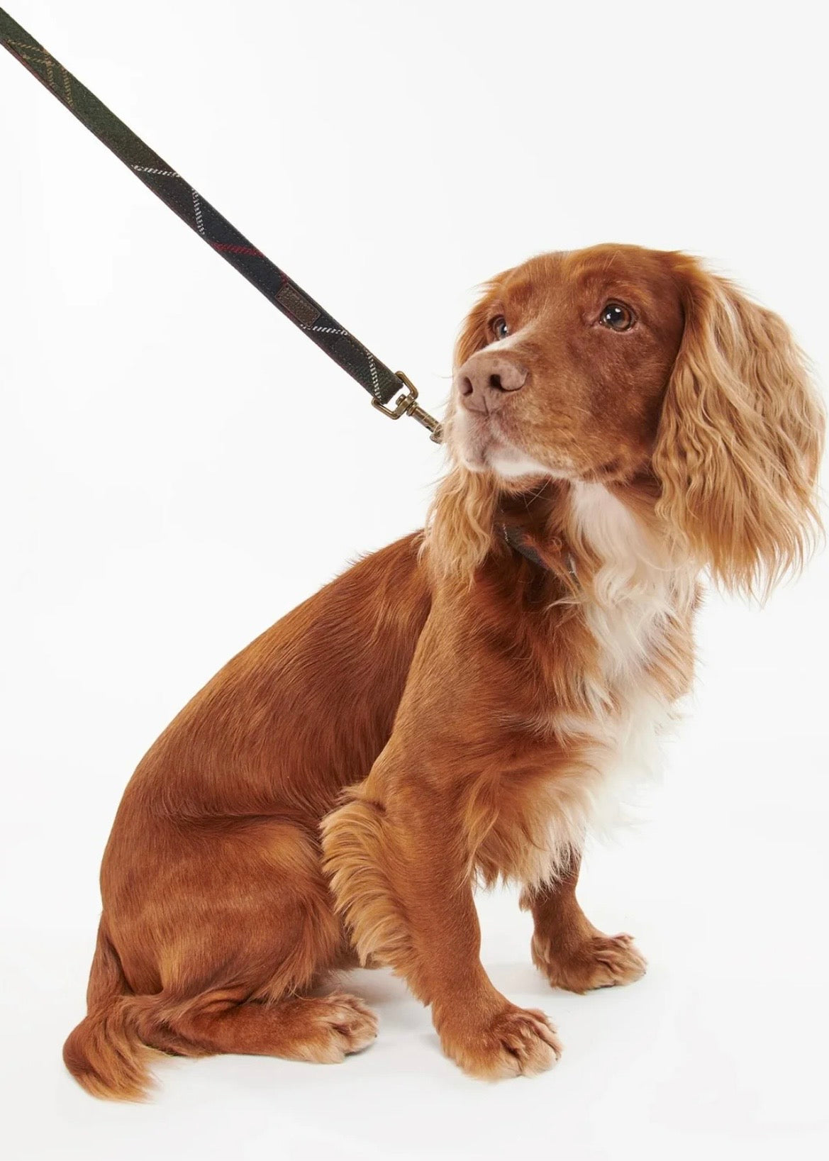 Tartan Dog Lead Classic Tartan