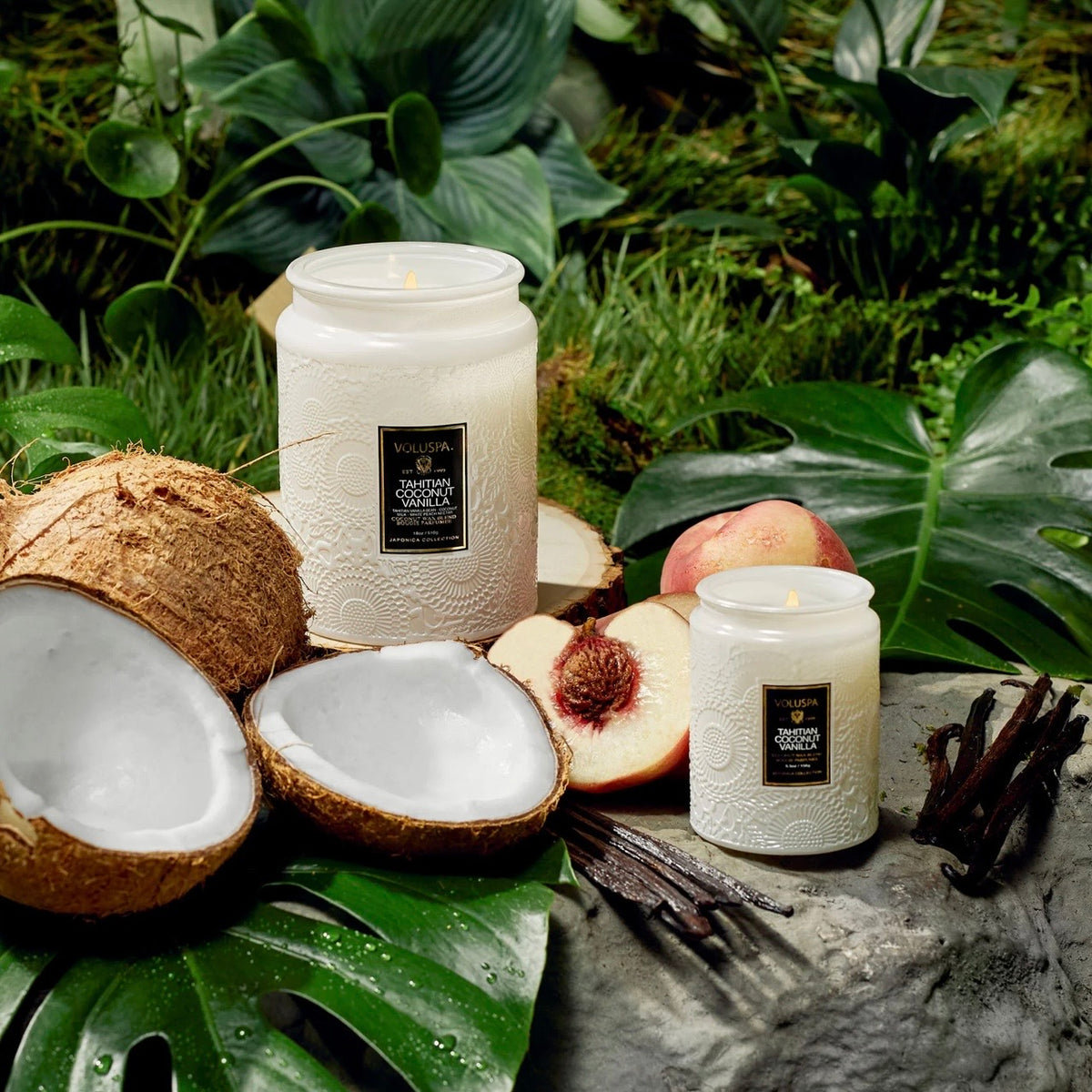 Small Jar Tahitian Coconut Vanilla
