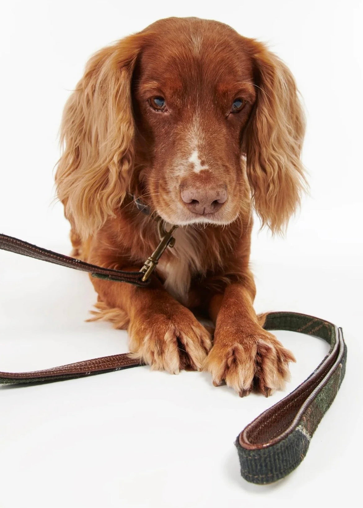 Tartan Dog Lead Classic Tartan