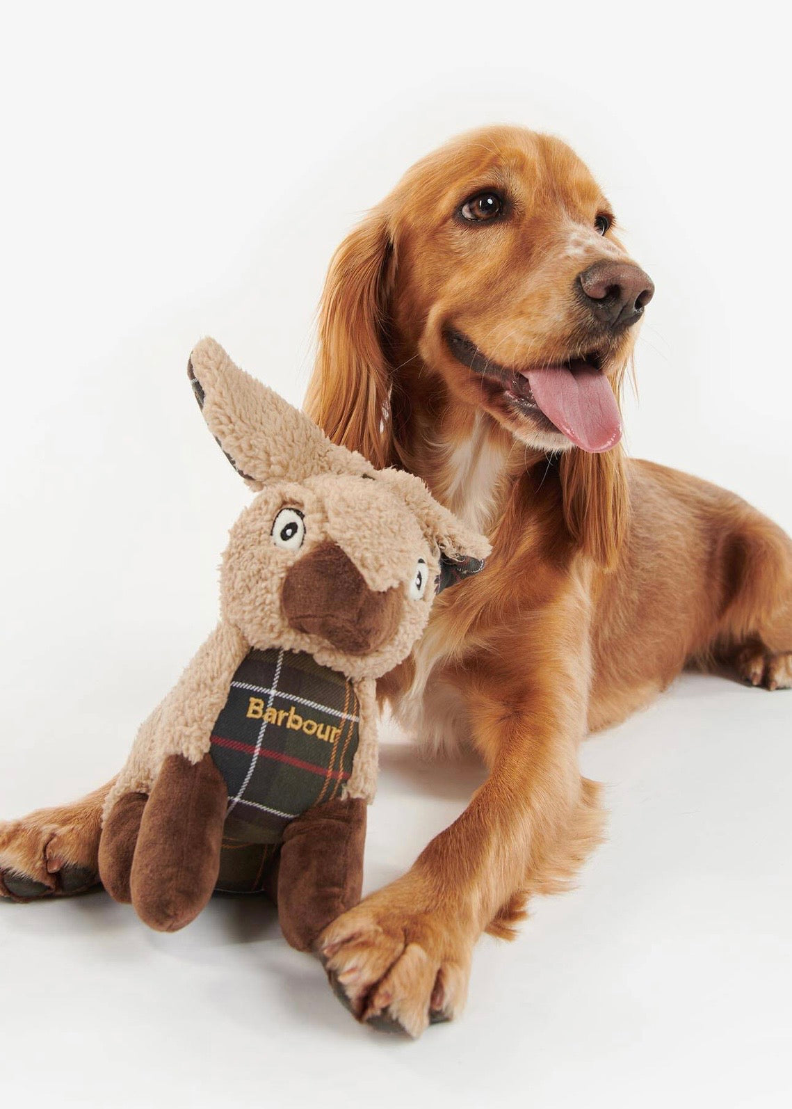 Rabbit Dog Toy