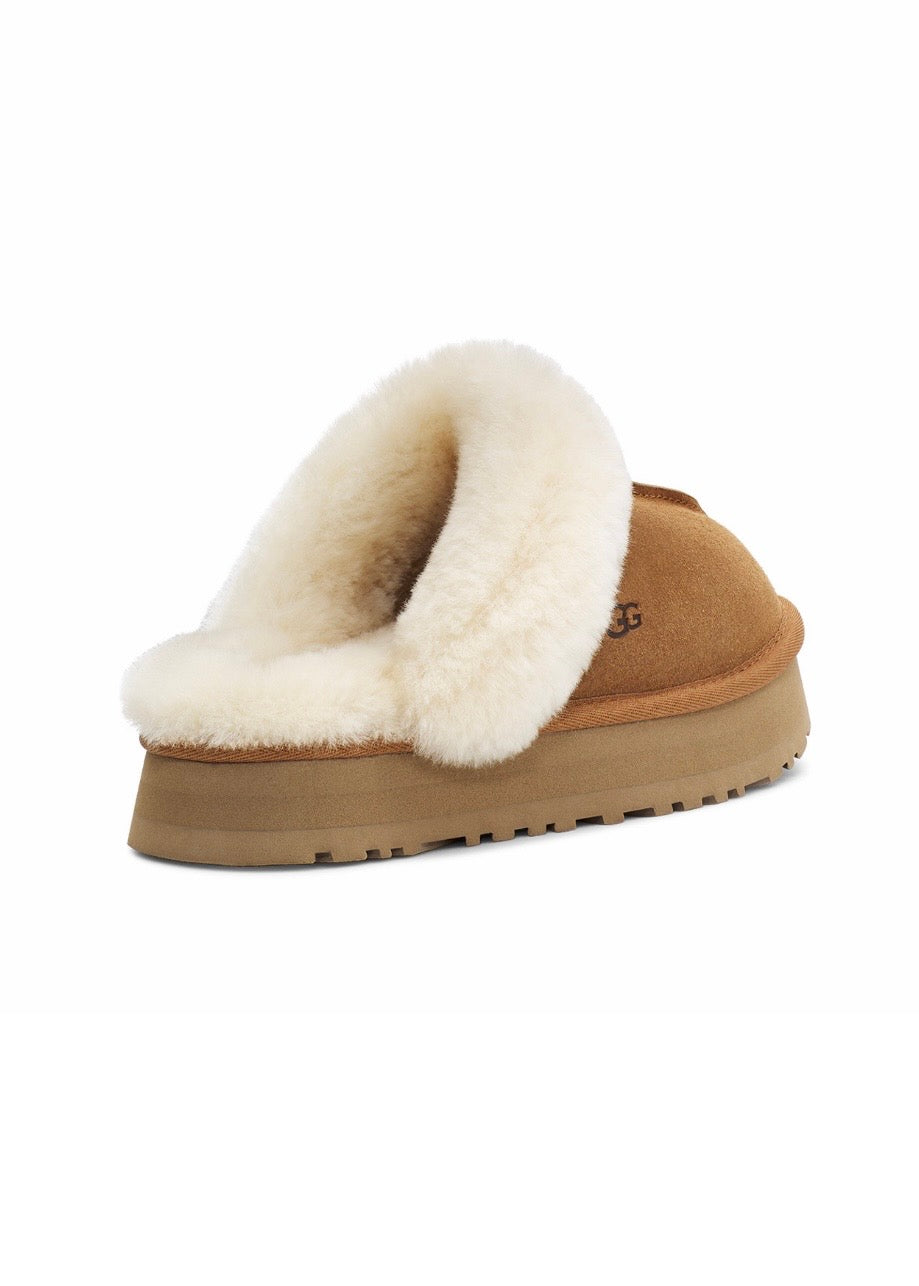 W Disquette Chestnut