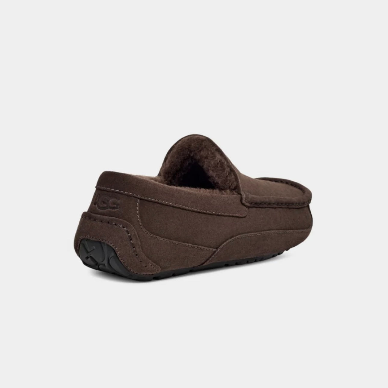 UGG M Ascot - Dusted Cocoa