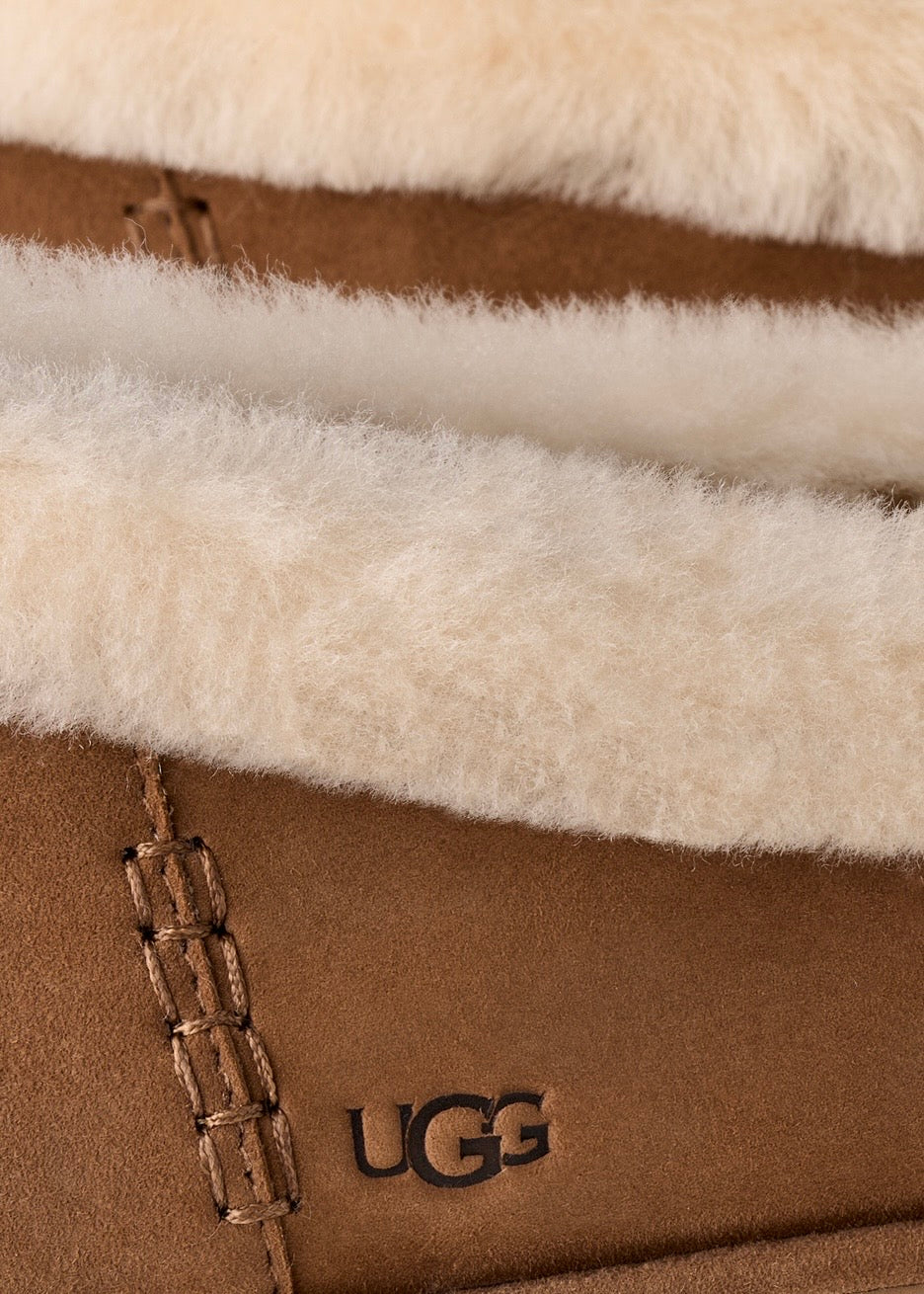 Zora Ballet Flat Chestnut