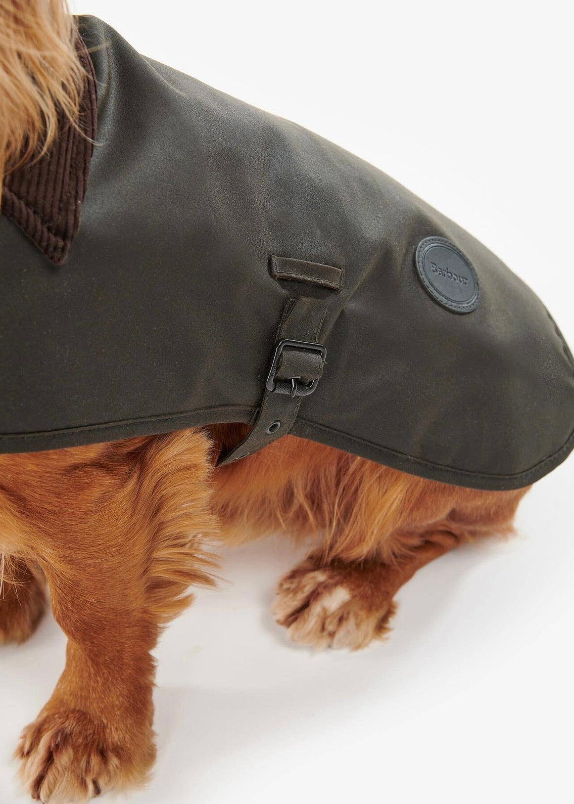 Wax Dog Coat Olive