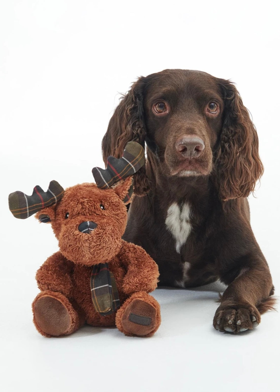 Reindeer Toy Brown