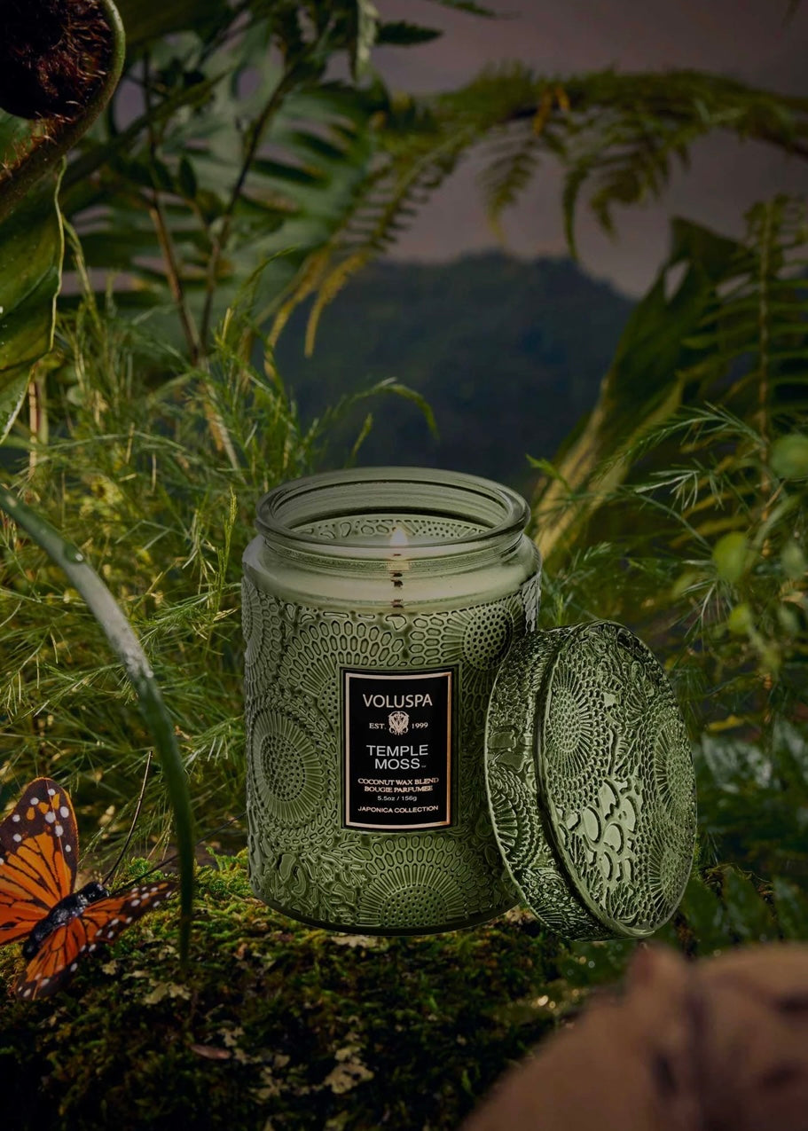 Small Jar Temple Moss