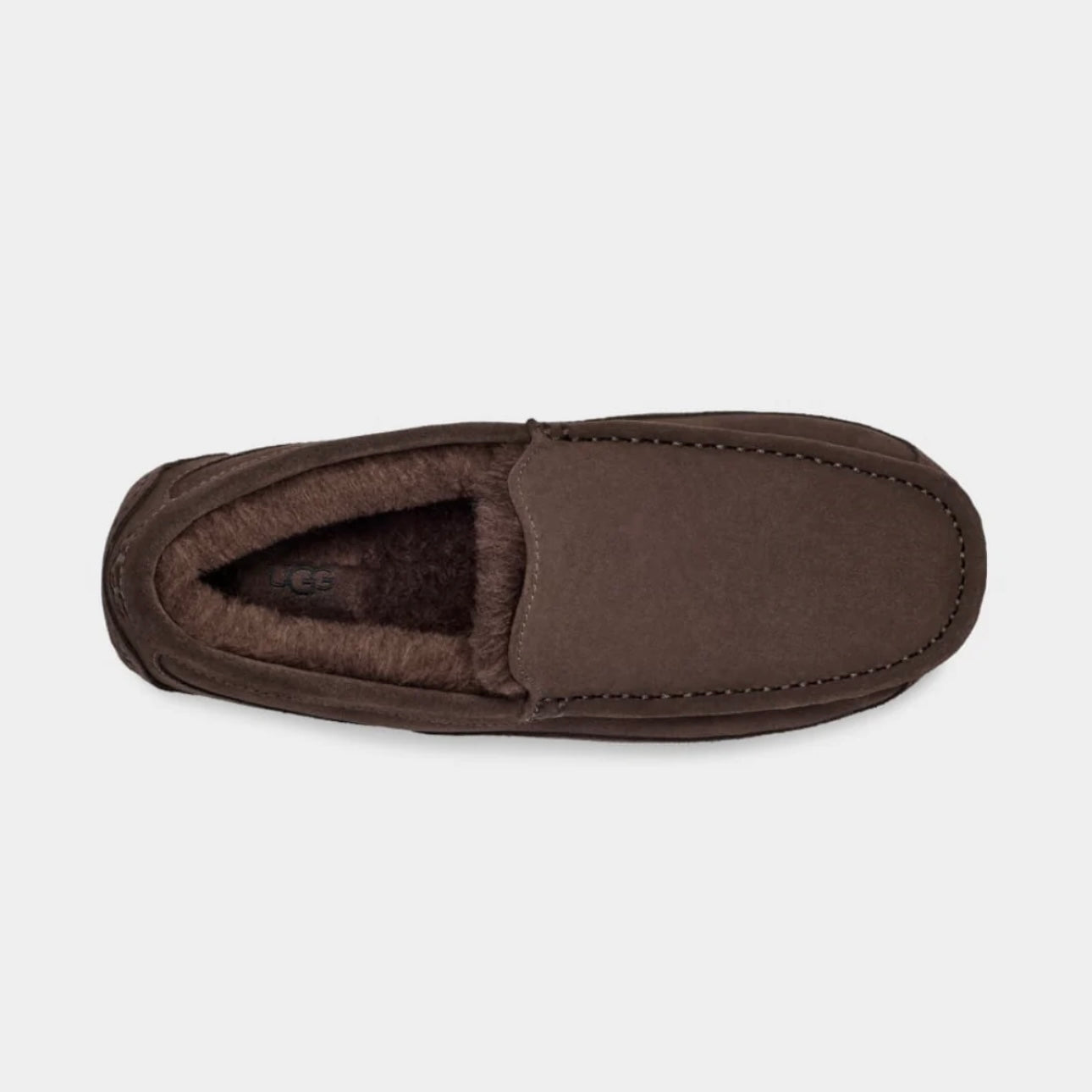 UGG M Ascot - Dusted Cocoa