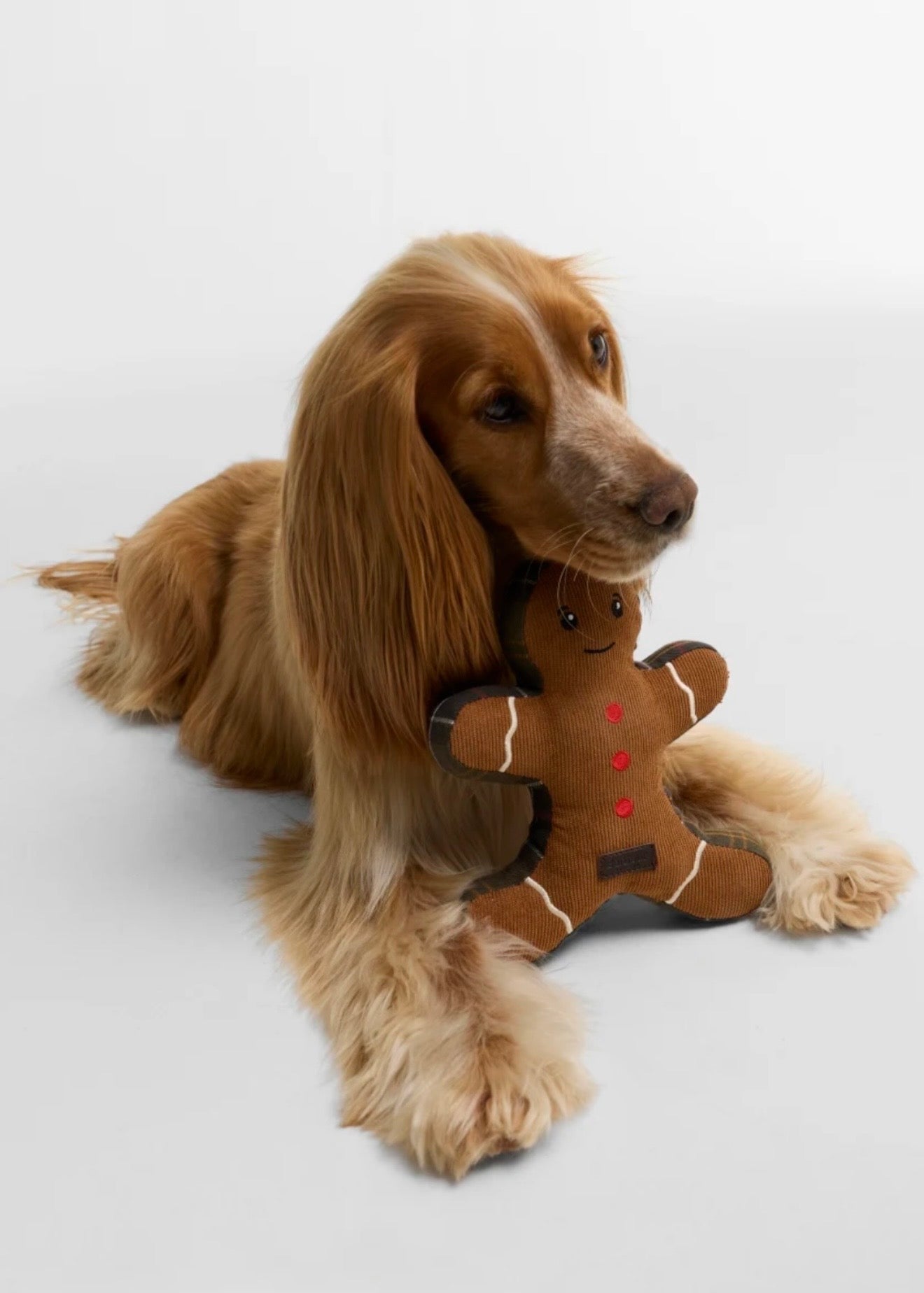 Gingerbread Dog Tog