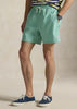 Traveler Swim Trunk Celadon