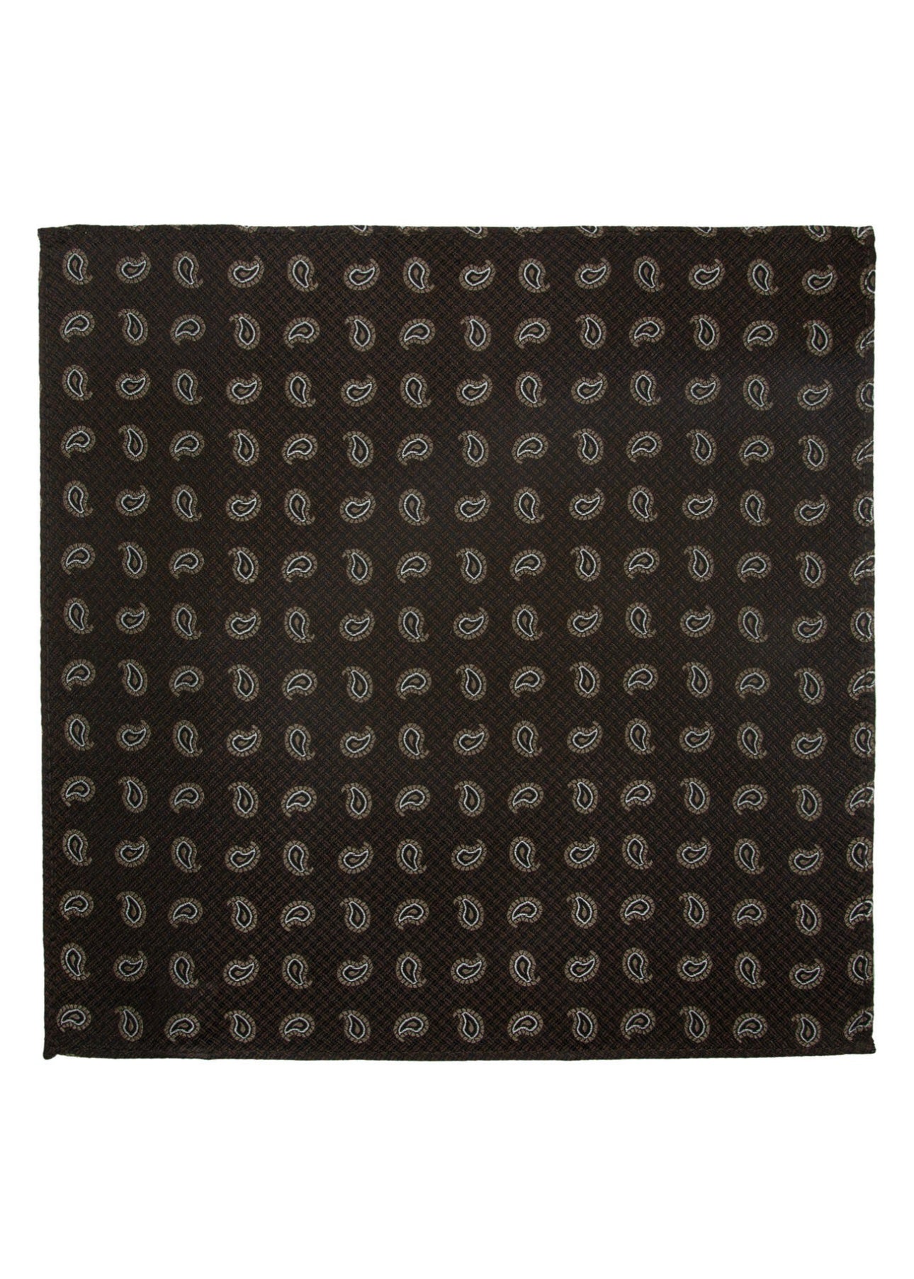 Santi Silk tie/hankie set
