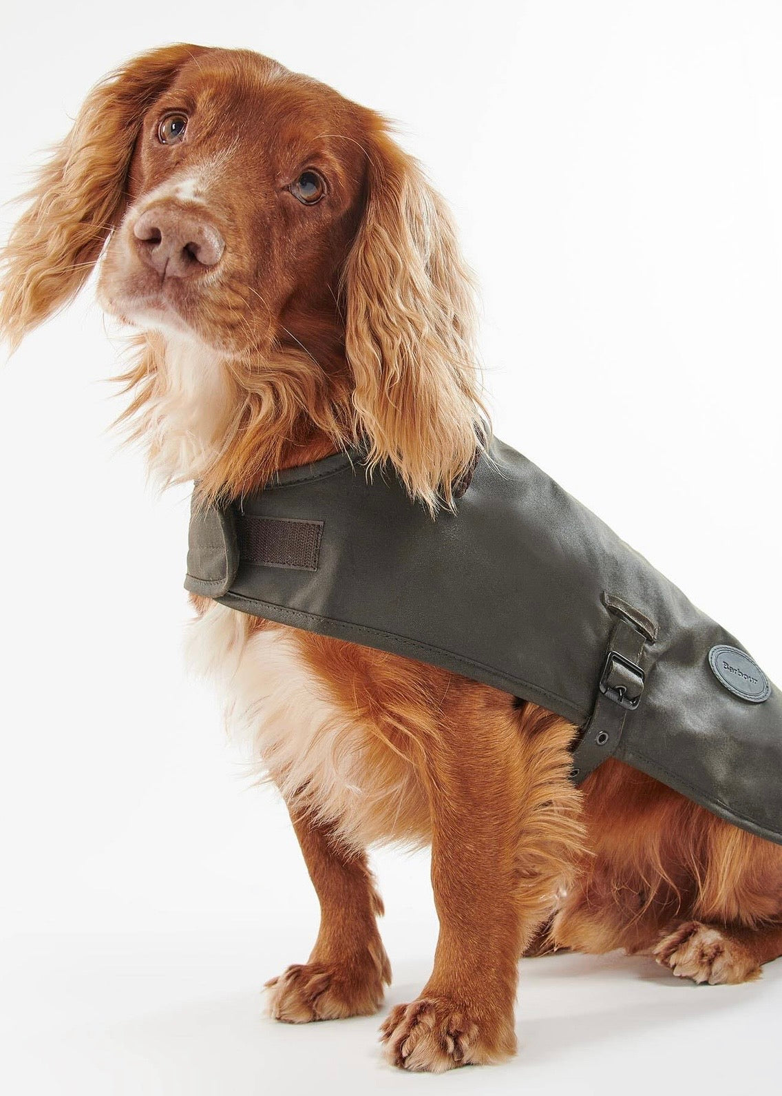 Wax Dog Coat Olive